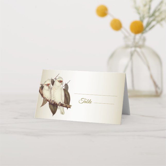 De Placement Carte Place Oiseaux blancs (Devant)