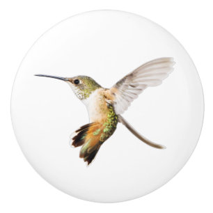 De Porte En Céramique Bouton du colibri d'Allen