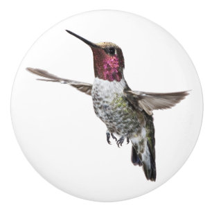 De Porte En Céramique Bouton du colibri d'Anna