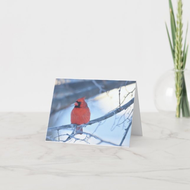 De Remerciements Cardinal carte pour notes (Devant)