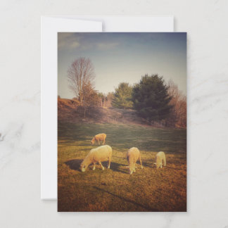 De Remerciements Carte blanche