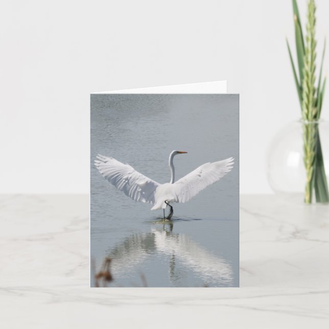 De Remerciements Carte blanche, Egret (Devant)