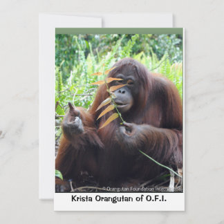 De Remerciements Carte blanche Krista Orangutan à Bornéo Rainforest