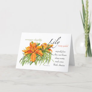 De Remerciements Carte blanche Lily