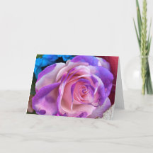 Carte blanche violet et rose