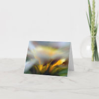 Carte bleue à fleurs en hausse