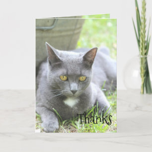 De Remerciements Carte Chic Shabby