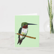 Carte Colibri vert clair