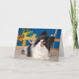 De Remerciements Carte d'anniversaire du chien mignon, Papillon