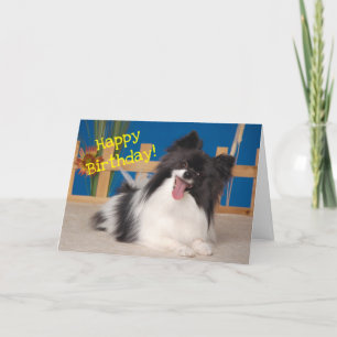 De Remerciements Carte d'anniversaire du chien mignon, Papillon