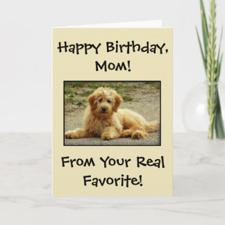De Remerciements Carte D'Anniversaire Jolie Du Chien Photo