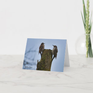 De Remerciements Carte d'oiseau Pic flammé