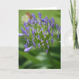 De Remerciements Carte Lily africaine