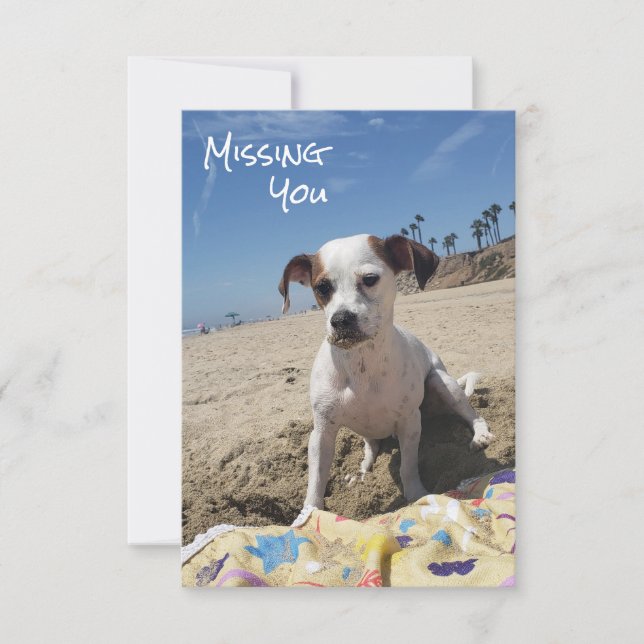 De Remerciements Carte personnalisée d'absence pour chien (Devant)