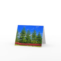 Carte Pliée Nature Colorée Vacances