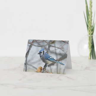 De Remerciements Carte pour notes blanc Bluejay.