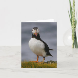 De Remerciements Carte Puffin