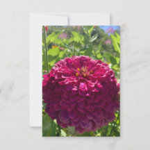 Carte "Rêves roses foncées" en Z