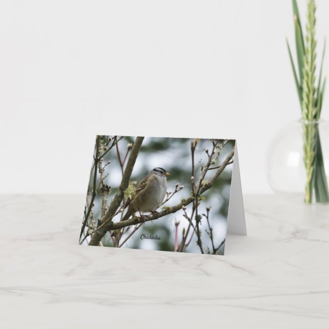 De Remerciements Carte Spring Chickadee (Devant)