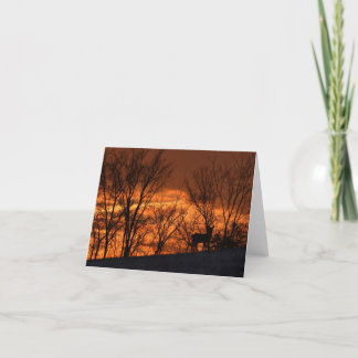 De Remerciements Cerf blanc au carte pour notes blanc au coucher du