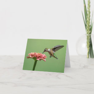 De Remerciements Colibri Avec Carte Flower Note