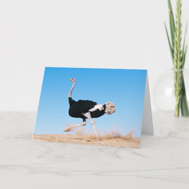 De Remerciements Continuer à utiliser la carte d'autruche (Devant)