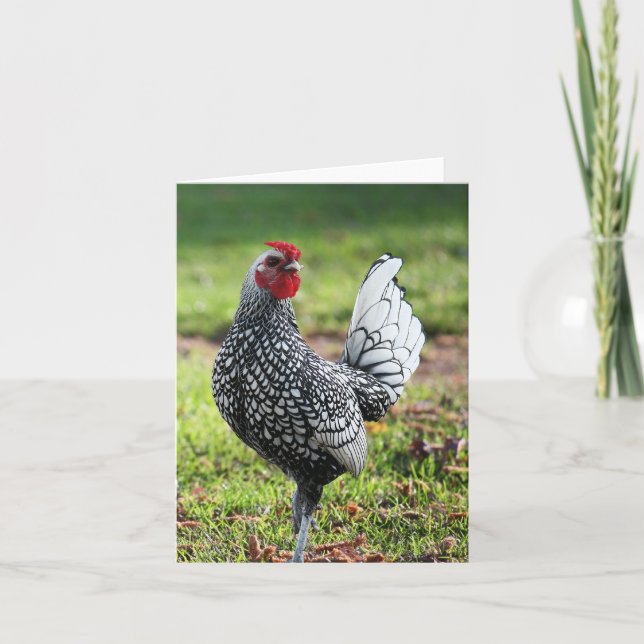 De Remerciements Coq, carte blanche (Devant)