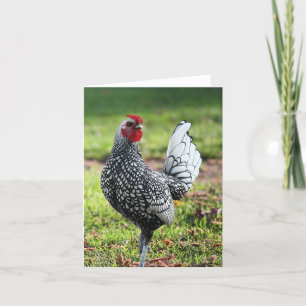 De Remerciements Coq, carte blanche