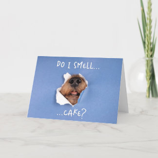 De Remerciements Drôle Chien pékin par carte - Chien carte d'annive
