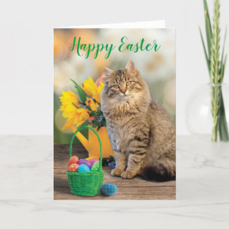 De Remerciements Joyeux Pâques Carte Chat Pâques Panier Pâques