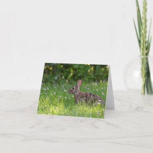 De Remerciements Lapin en trèfle vierge à l'intérieur du carte pour