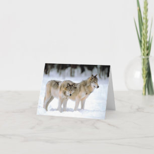 De Remerciements Les loups dans la carte du désert