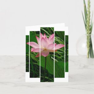 De Remerciements Lotus Carte pour notes