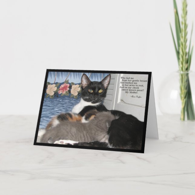 De Remerciements Momma's Love - Carte Fête des Mères Chat (Devant)