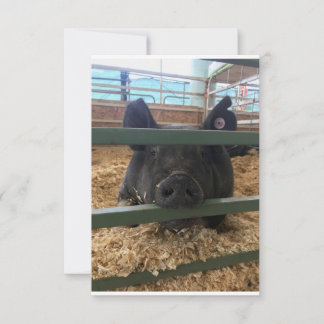 De Remerciements Pig vierge dans la carte