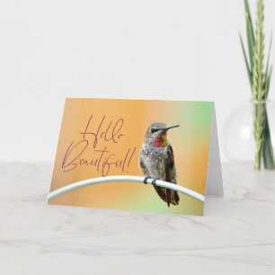 De Remerciements Rose Anna's Hummingbird Photo Bonjour belle carte