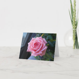 De Remerciements Rose rose sur une carte blanche