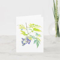 Solanum Potato Creeper Carte d'art botanique
