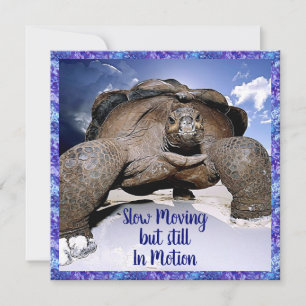De Remerciements Tortue - Drôle carte d'anniversaire
