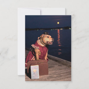 De Remerciements Voyageur Sailor Chien drôle costume livre carte po