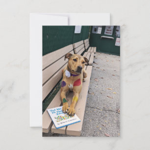 De Remerciements Zoo cosplay book Funny Chien Carte photo