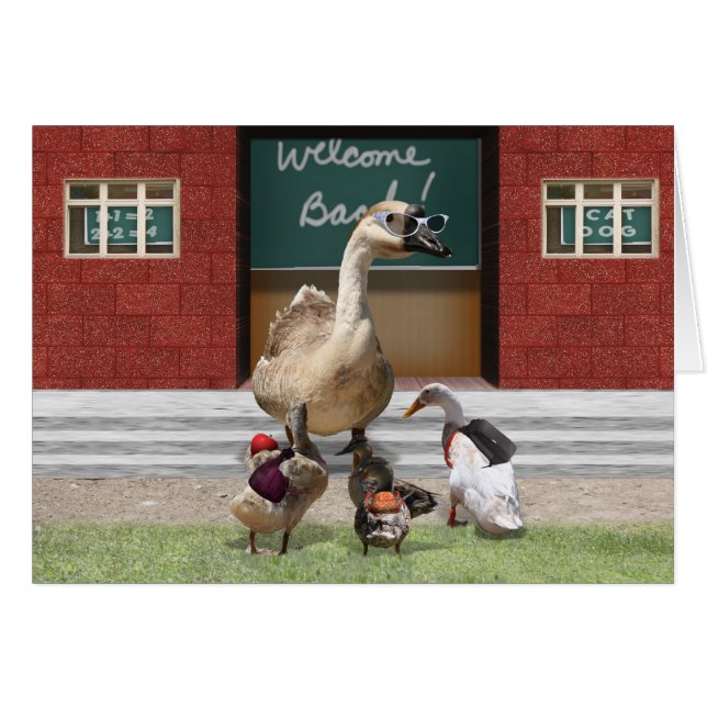 De Retour À L'École, Petits Canards ! (Devant horizontal)