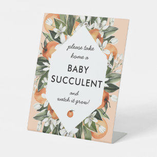 De Table Signe Little Cutie Baby shower Succulent Faveurs