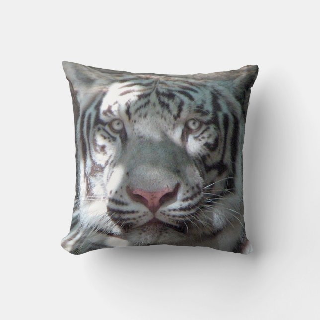 De tigre coussin blanc de fin (Recto)