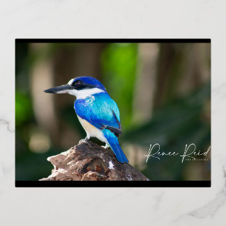 De Vacances En Aluminium Carte postale bleue Fisher