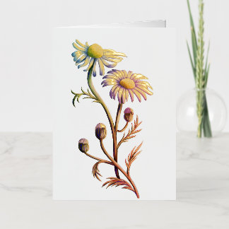 De Vacances Métallisée Carte à thème à fleurs Chamomille