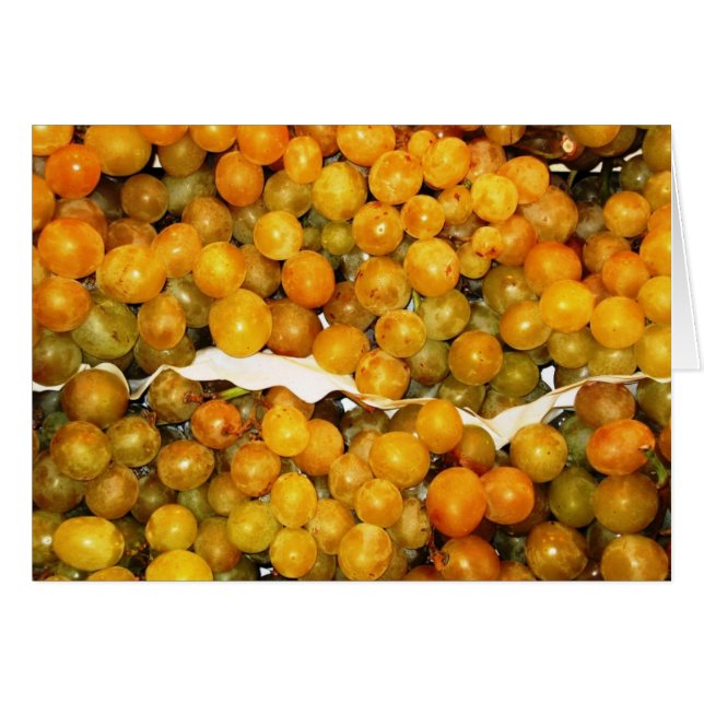De vert raisins doux succulent (Devant Horizontal)
