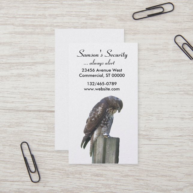 De Visite Bus. Carte - Falcon (Devant/Arrière en situation)