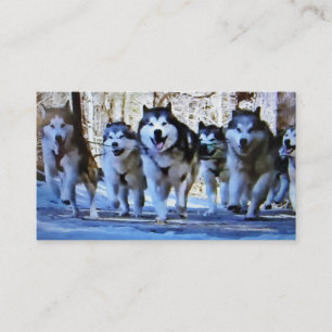DE VISITE BUS SIBERIAN HUSKY / CARTE PERSONNELLE