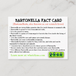 De Visite Carte d'information Bartonella